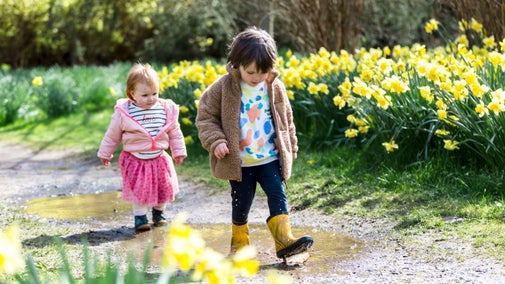 Two children dressed in colourful pink and yellow clothes walk along a path with puddles, surrounded by daffodils